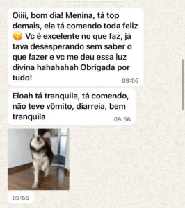 Eloah - SRD (1 ano): Comia somente ração e achava que enjoava, com isso adicionava alguns ingredientes como temperos e patês. Mesmo assim Deixava comida e não comia no horário (as vezes deixava).