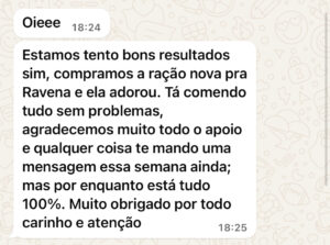 Ravena - American (1 ano): com dificuldade para aceitar ração pura. Não tinha nenhum tipo de problema de saúde aparente, mas negava a ração quando colocava no pote.