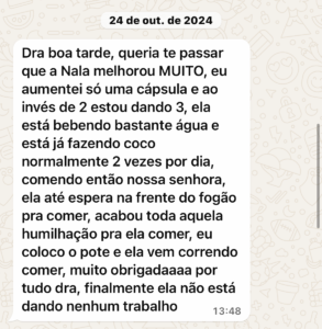 Nala - Golden Retriever (1 ano): essas foram as palavras da tutora “imensa dificuldade de comer a ração, só come com acompanhamentos e com muita luta"