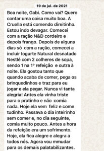 Cruella - Shitzu (2 anos): único jeito de comer algo era dando a ração com biscoito pet esfarelado por cima e as vezes colocava água junto. Porém muitas vezes negava levando a vômitos biliosos pelo jejum prolongado.